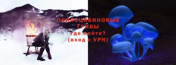 первитин Гусев
