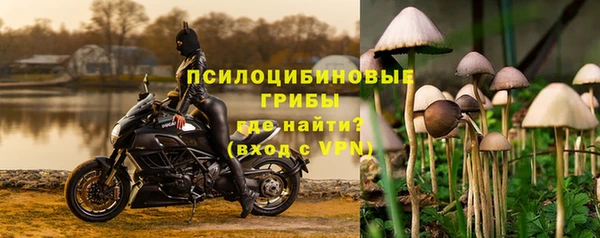 дживик Гусь-Хрустальный