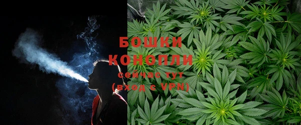 первитин Гусев
