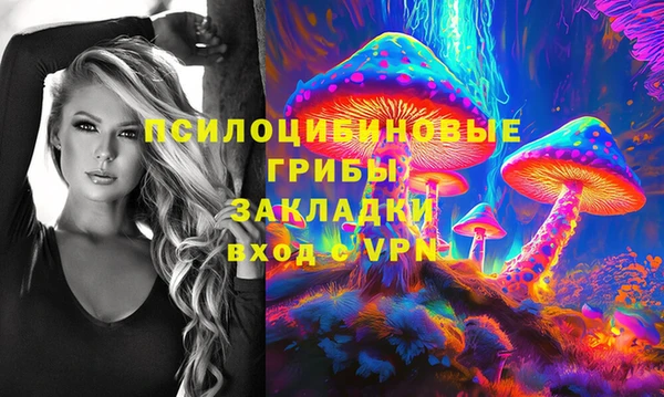 дживик Гусь-Хрустальный