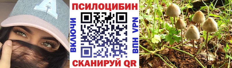 Купить закладки  Остров  Галлюциногенные грибы мицелий 